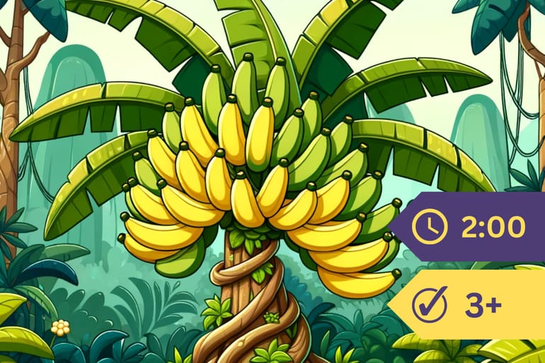 The Amazing Life Of A Banana Tree